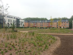 wassergebunden Wegedecke Koers KoMex gelb wassergebunden Wegedecke Koers KoMex gelb